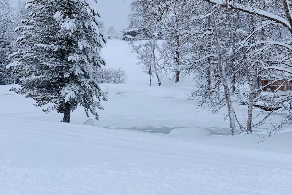 Zuhaus Schernfeichten Kitzbuhel Bagian luar foto