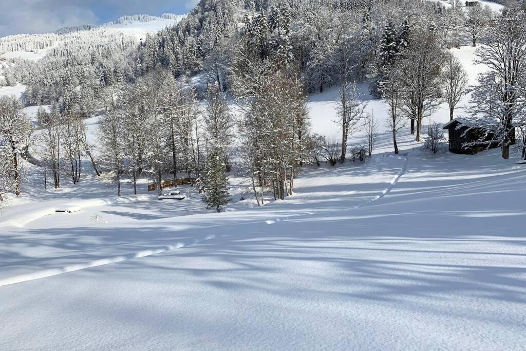 Zuhaus Schernfeichten Kitzbuhel Bagian luar foto