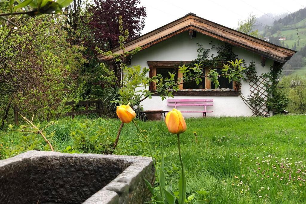 Zuhaus Schernfeichten Kitzbuhel Bagian luar foto